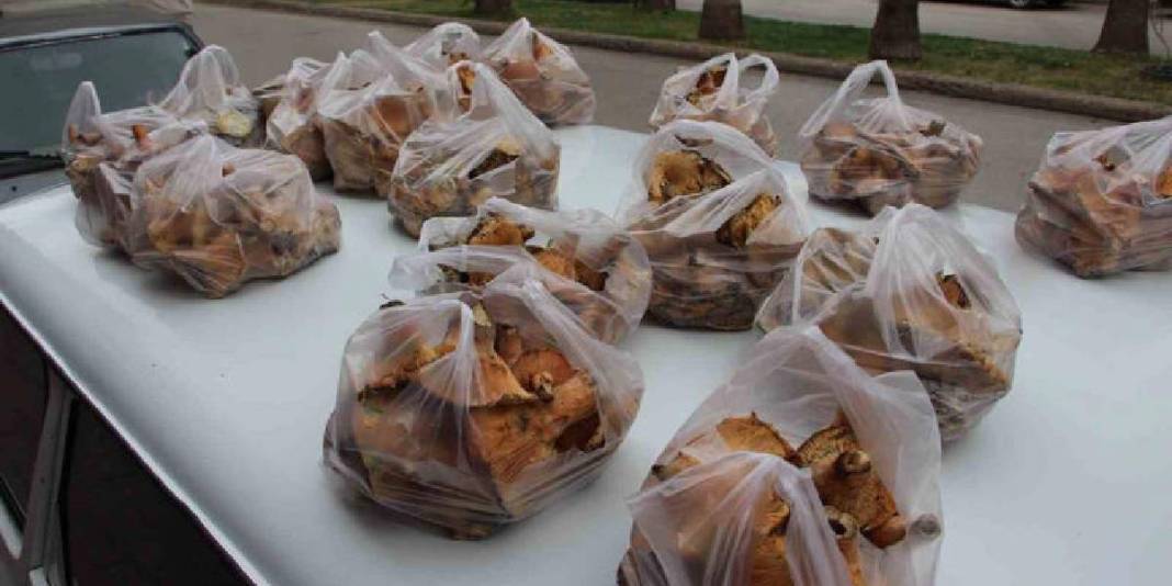 Şimşek ve gök gürültüsünden sonra çıkıyor, tek tek toplanıyor! Ormandan gelen geçim kaynağı: 450 TL’den satılıyor 5